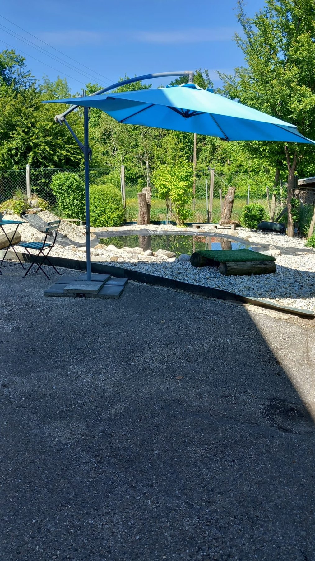 Hund unterwegs und im Alltag der Hundebetreuung Altenburg