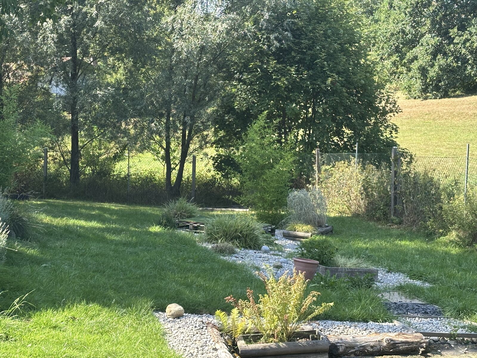 Geländebereich mit Wiese und Teich