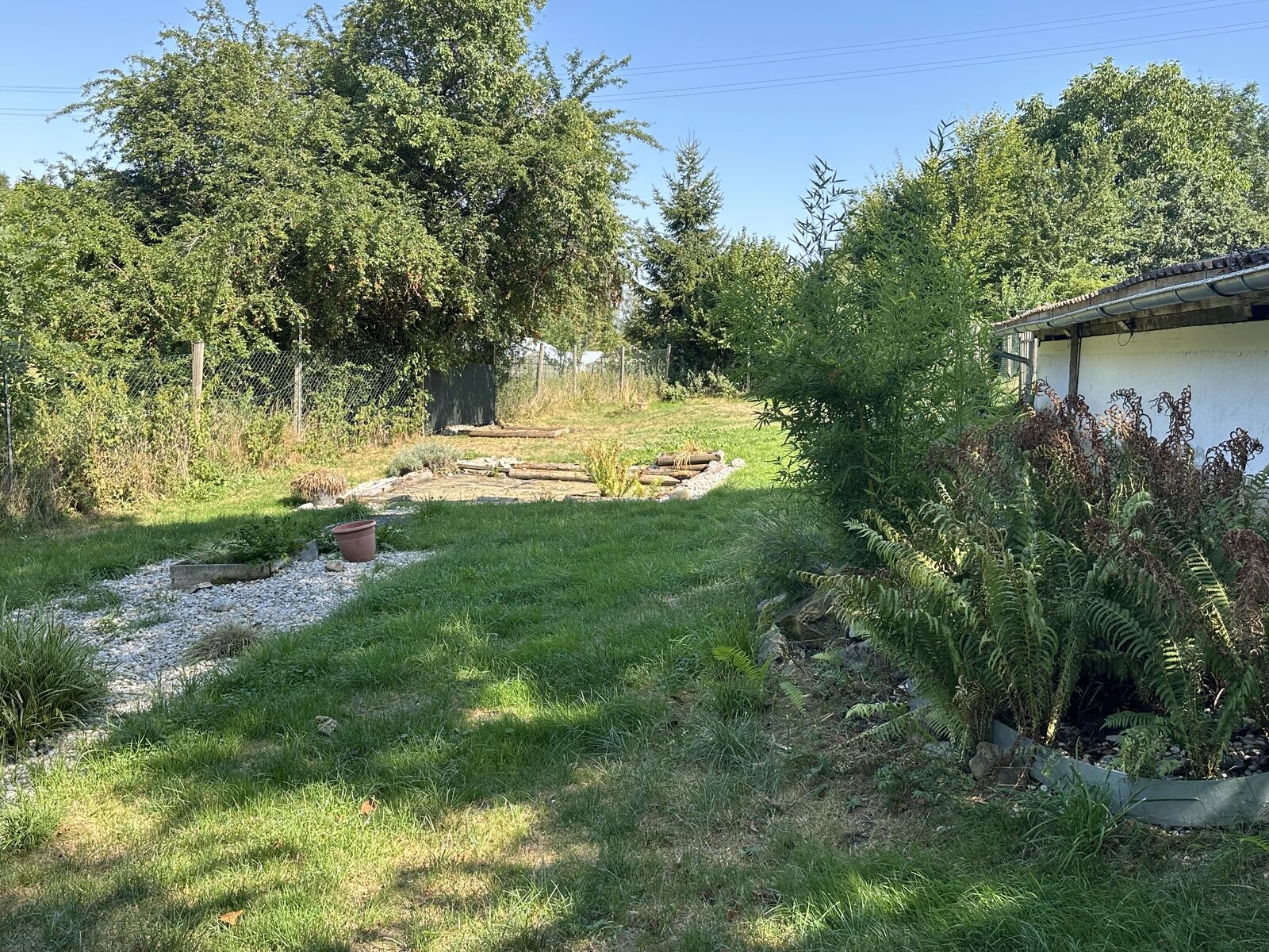 Wiese mit natürlichen Beschäftigungsmöglichkeiten