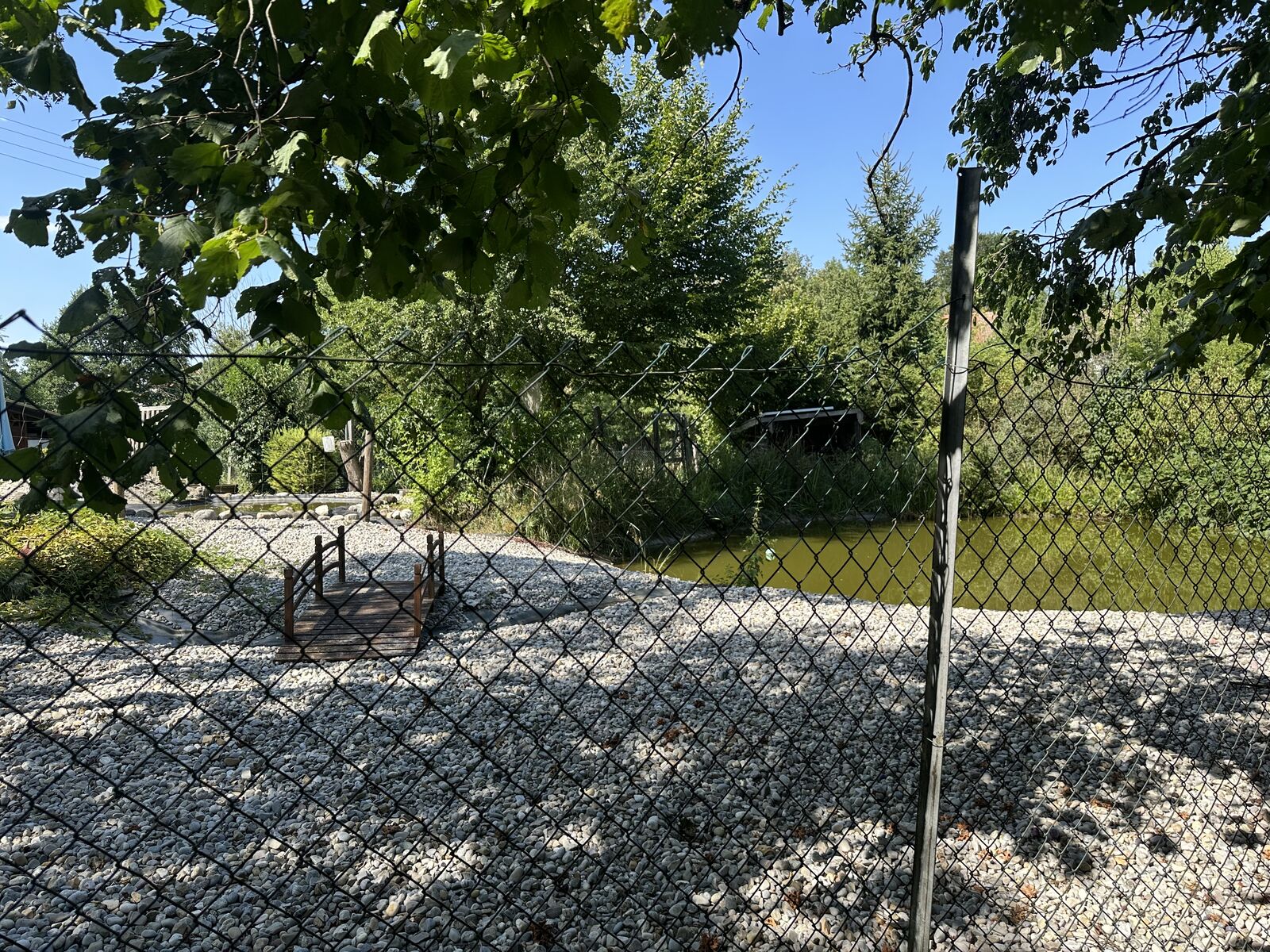 Teichbereich auf dem Gelände