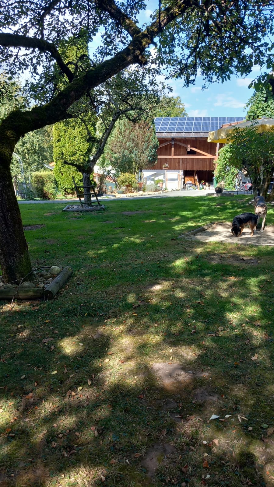Eindruck vom grünen Gelände der Hundebetreuung Altenburg