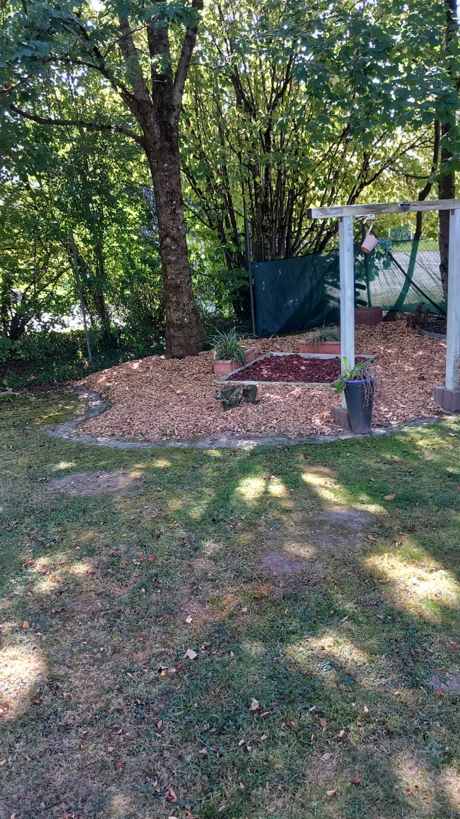 Eindruck vom Gelände und Alltag der Hundebetreuung Altenburg