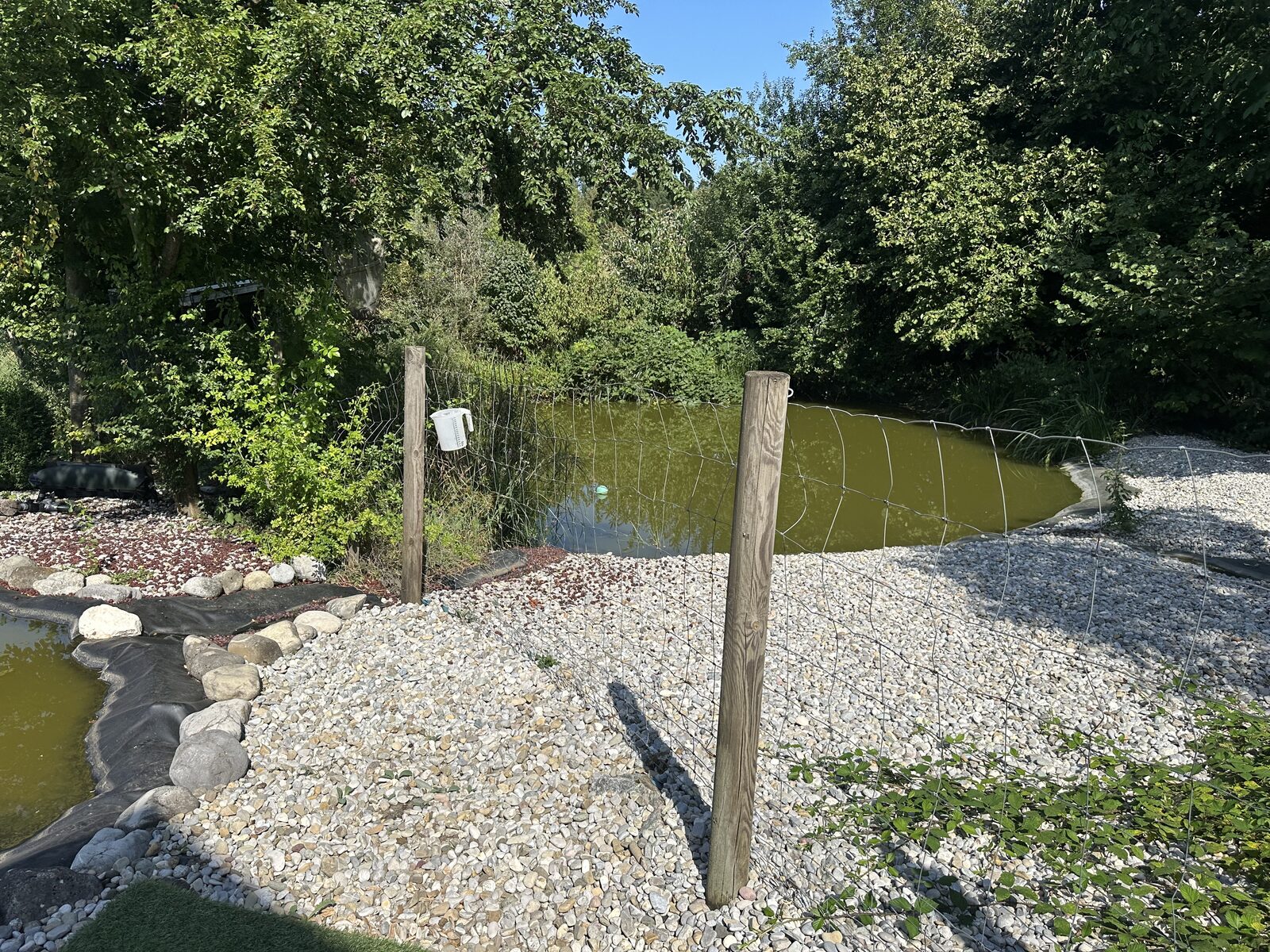 Eindruck vom Teich und Außengelände der Hundebetreuung Altenburg